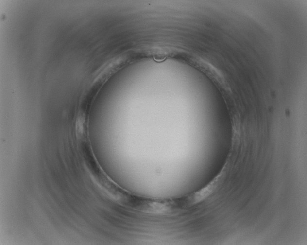 X0000083990166200703021948