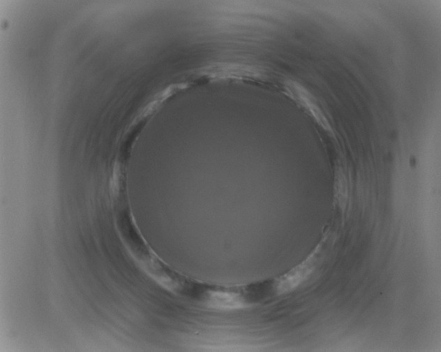 X0000083990167200703021948