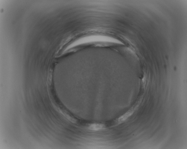 X0000083990168200703021948