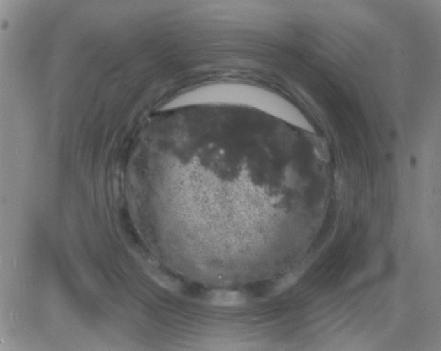 X0000083990169200703021949