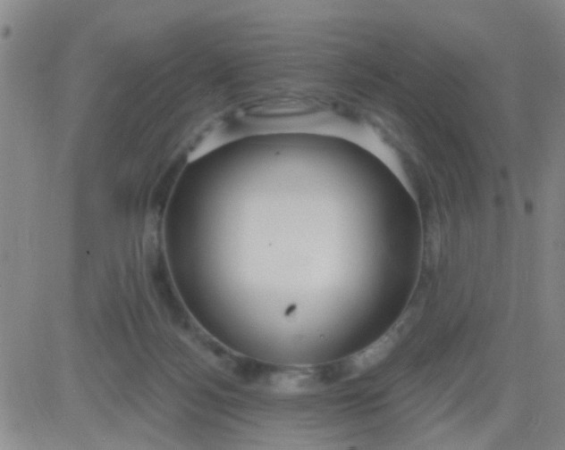 X0000083990172200703021949