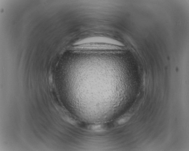 X0000083990173200703021949