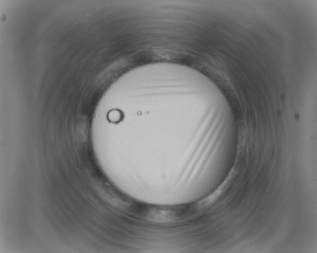 X0000083990174200703021949