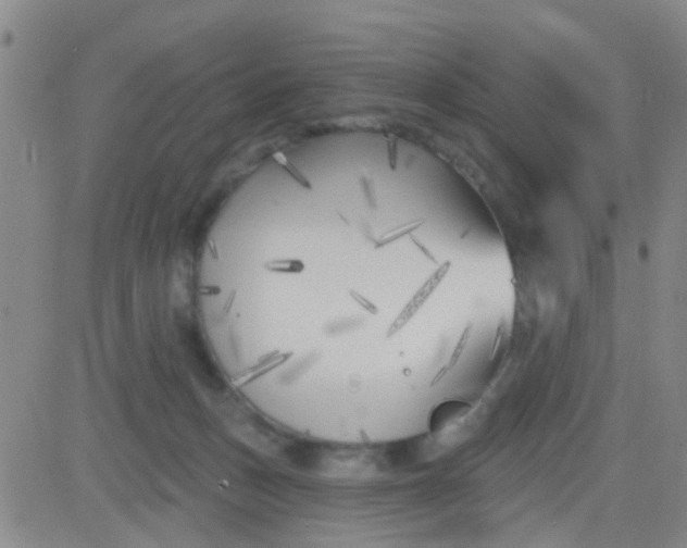 X0000083990175200703021949