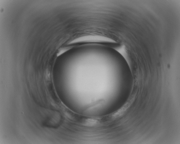 X0000083990176200703021949