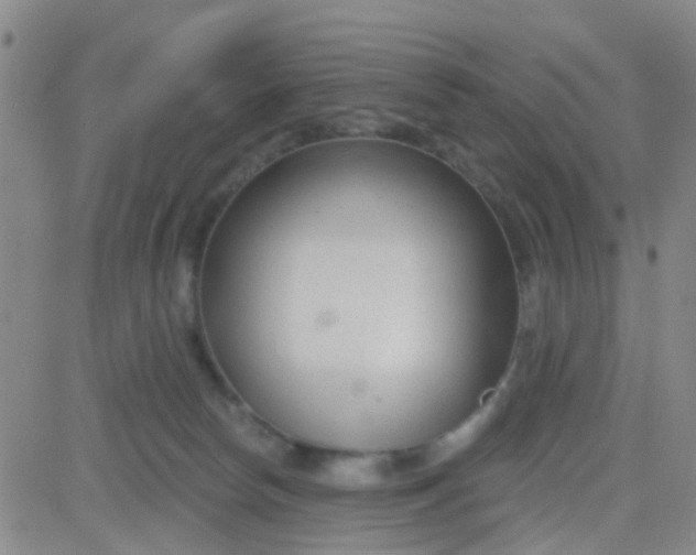 X0000083990178200703021949