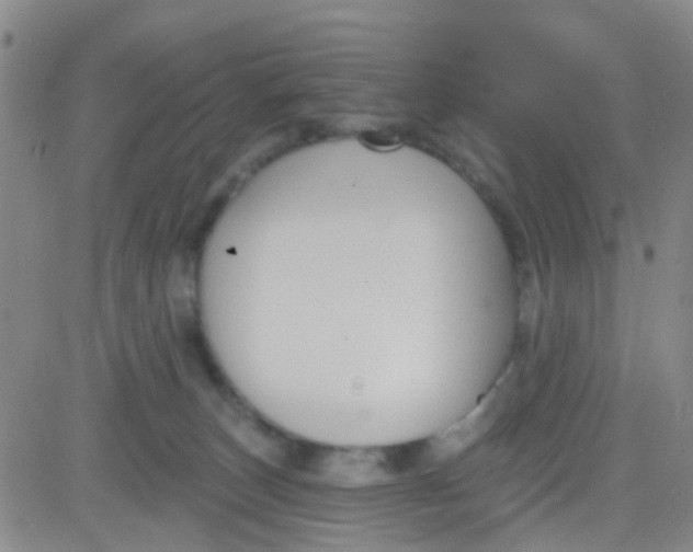 X0000083990179200703021949