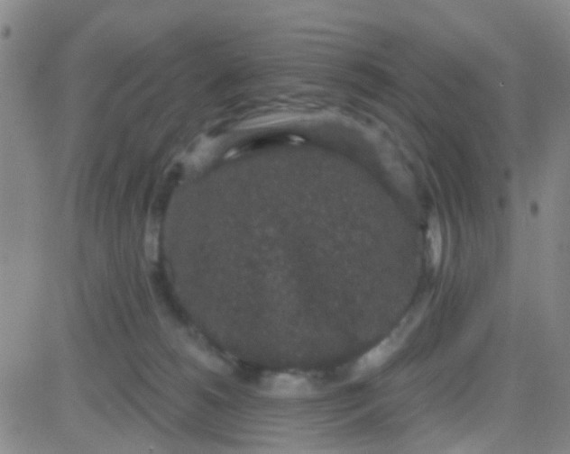 X0000083990180200703021949