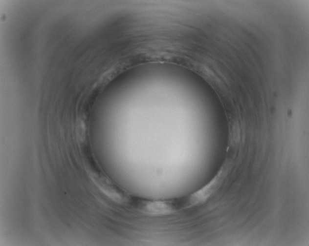 X0000083990183200703021949