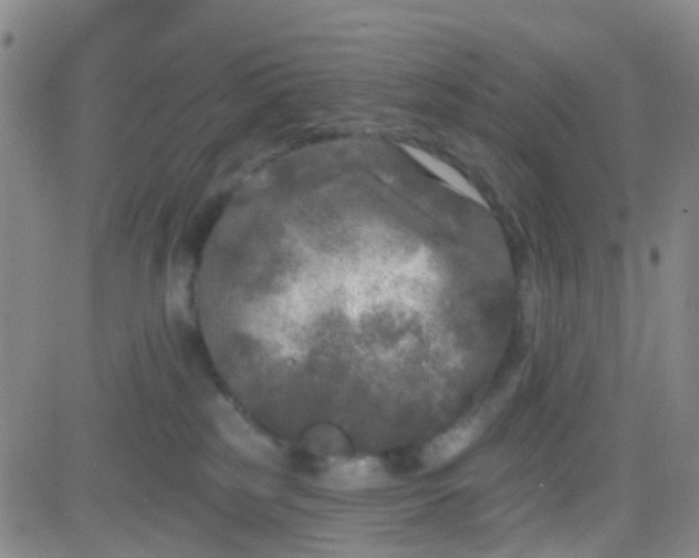 X0000083990185200703021949