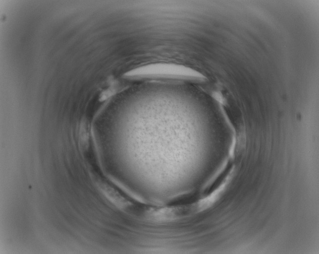 X0000083990186200703021949