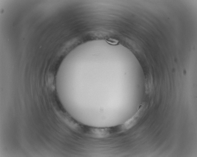 X0000083990187200703021949