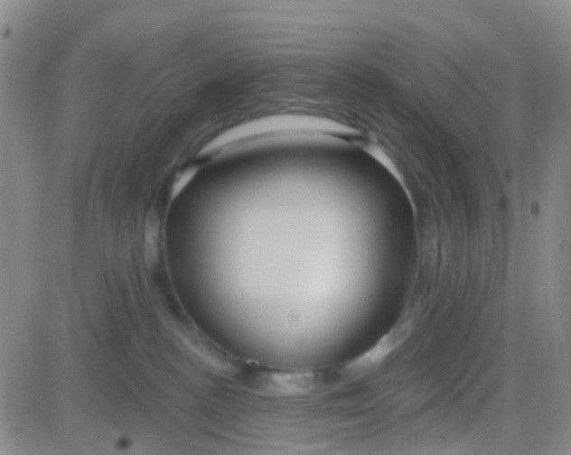 X0000083990188200703021949