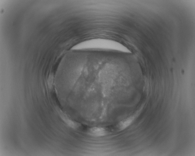 X0000083990189200703021949