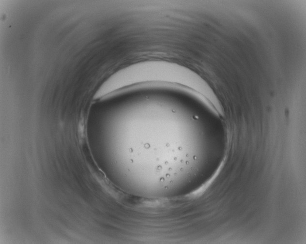 X0000083990190200703021949