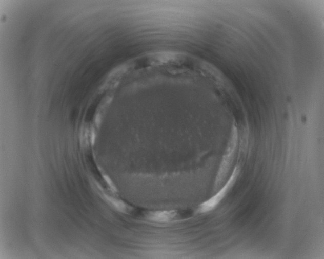 X0000083990191200703021949