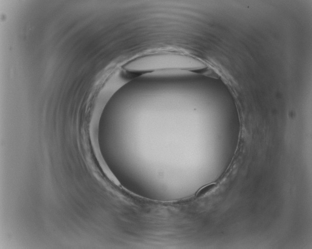 X0000083990193200703021948