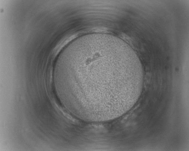 X0000083990194200703021948