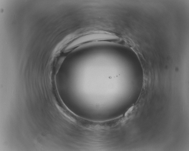 X0000083990197200703021948