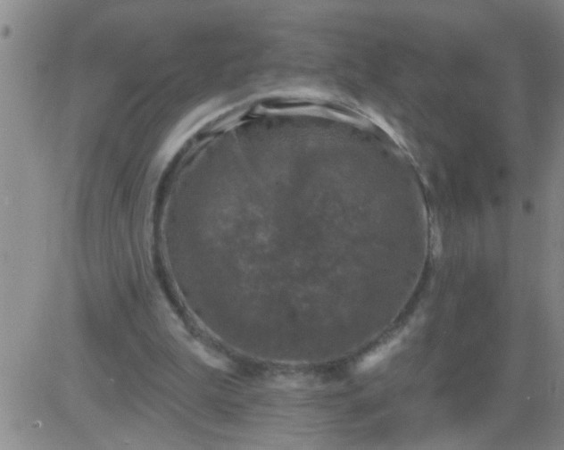 X0000083990199200703021948