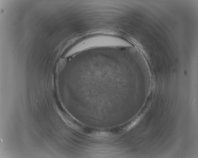 X0000083990205200703021948