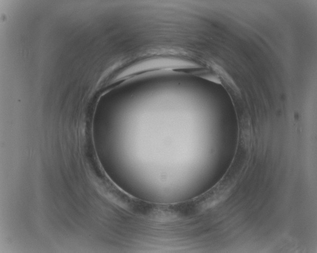 X0000083990207200703021948