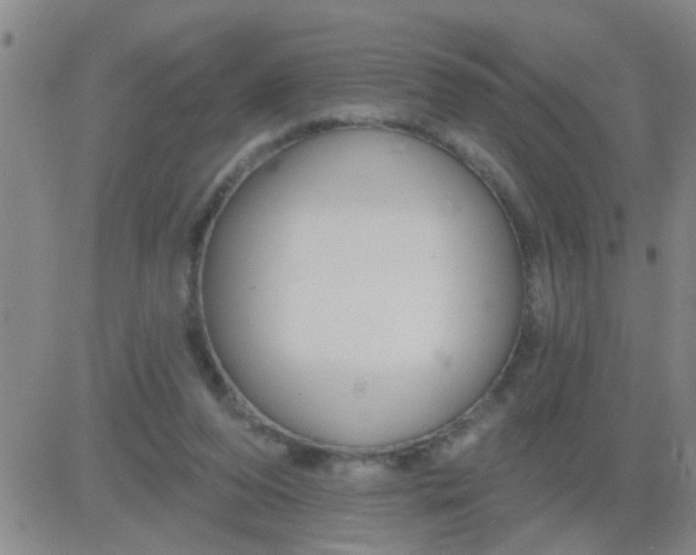 X0000083990208200703021948