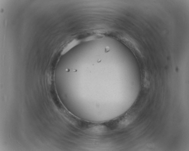 X0000083990210200703021948