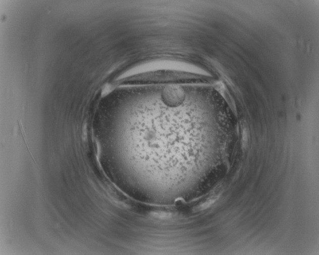 X0000083990211200703021948