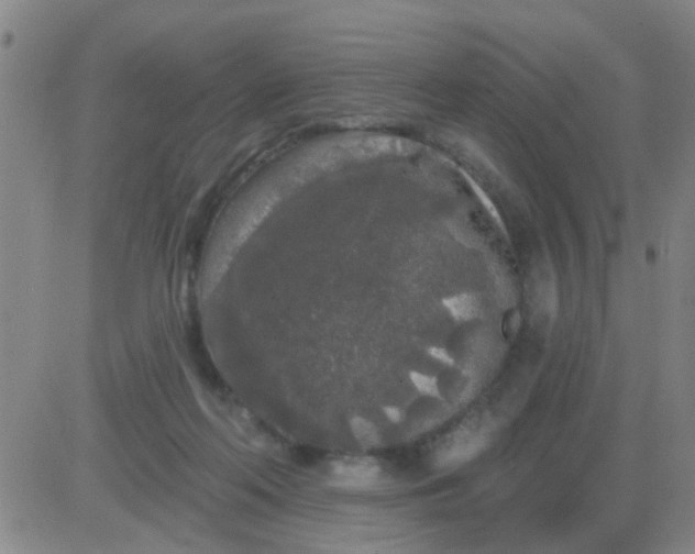 X0000083990214200703021948