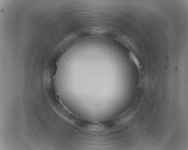 X0000083990215200703021948