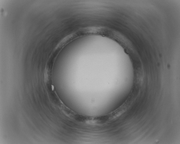 X0000083990216200703021948