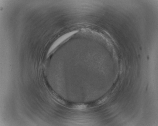 X0000083990217200703021948