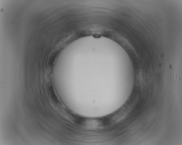 X0000083990218200703021948