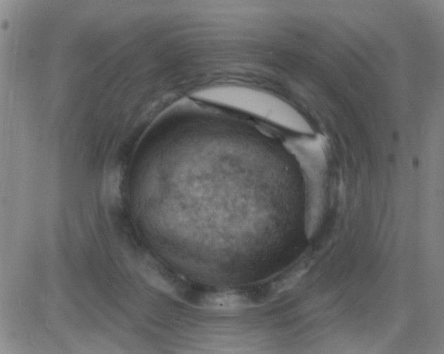 X0000083990219200703021948