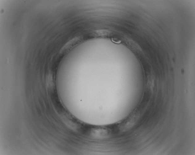 X0000083990220200703021948