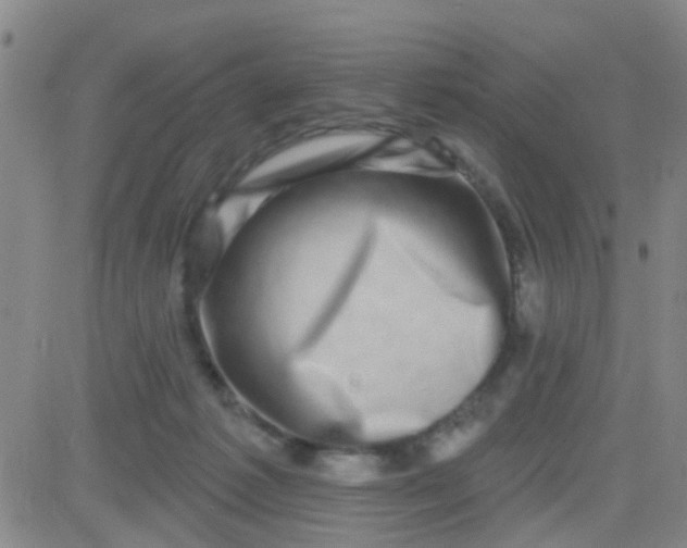 X0000083990221200703021948