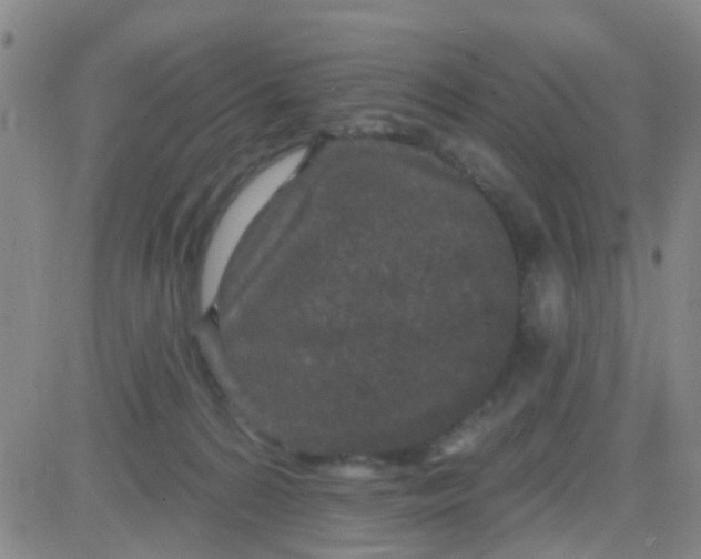 X0000083990224200703021948