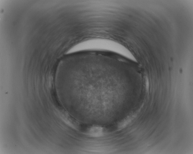 X0000083990227200703021948