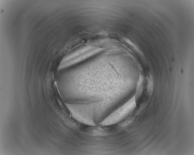 X0000083990229200703021947