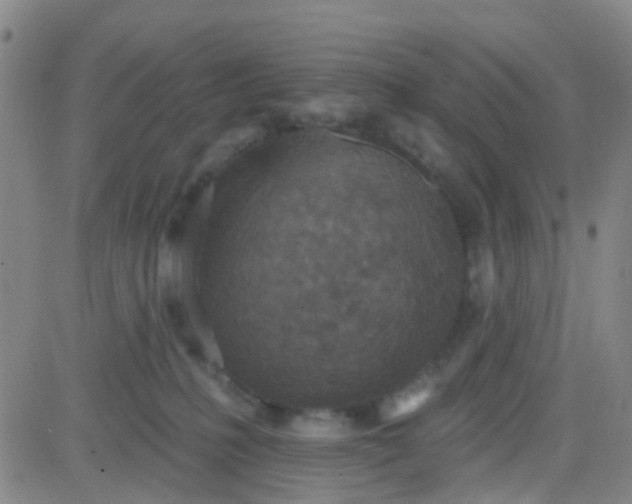 X0000083990231200703021947