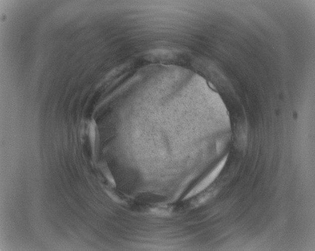 X0000083990232200703021947