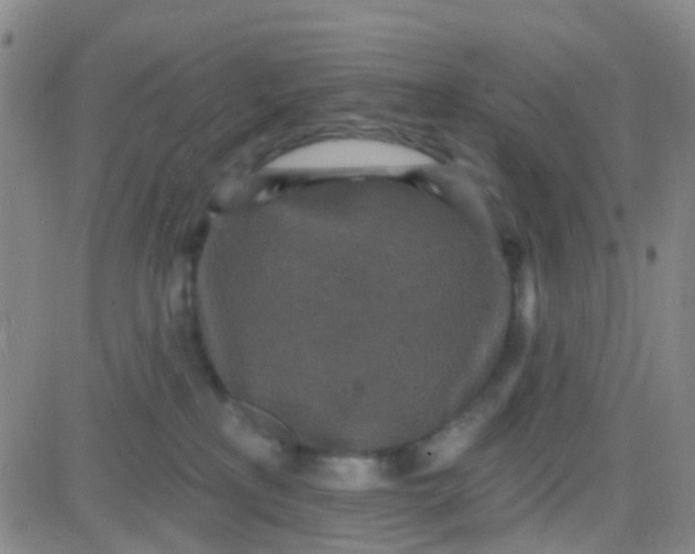 X0000083990233200703021947