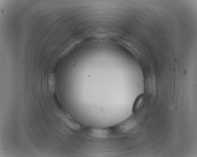 X0000083990234200703021947