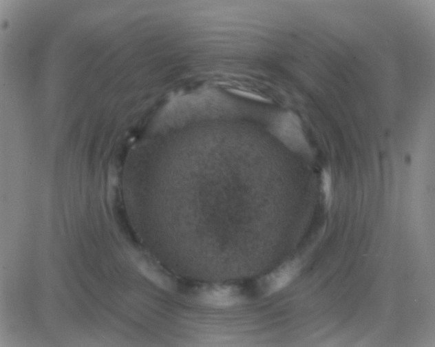 X0000083990235200703021947