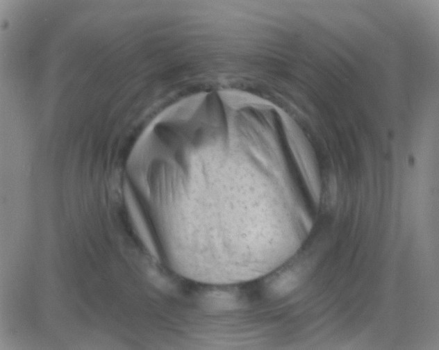 X0000083990236200703021947