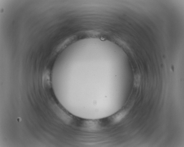 X0000083990238200703021947