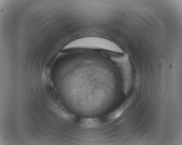 X0000083990239200703021947