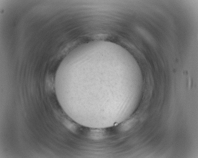 X0000083990240200703021947