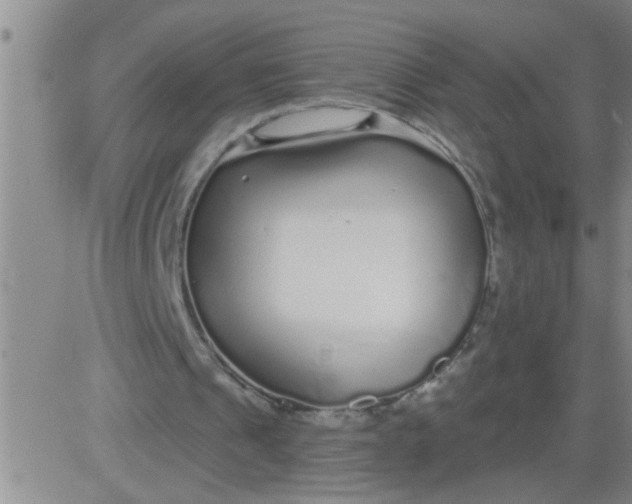 X0000083990241200703021947